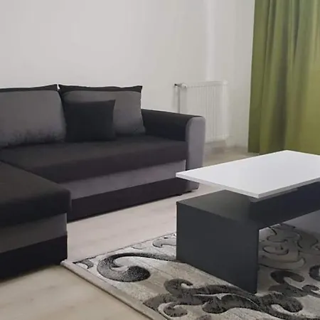 Apartament Modern Ioan Popasu Apartment *