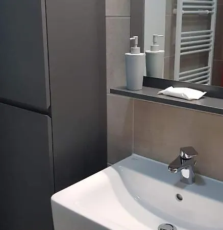 Apartment Apartament Modern Ioan Popasu *
