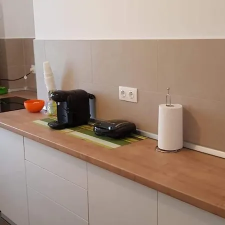 Apartament Modern Ioan Popasu Apartment